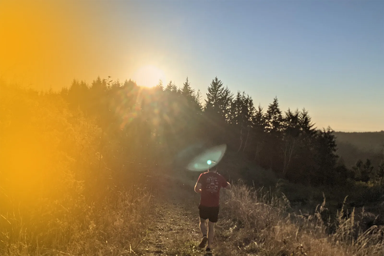 Sunset Runners